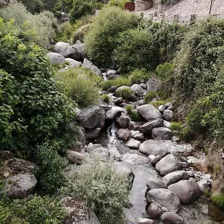 La Estrella De Gredos *